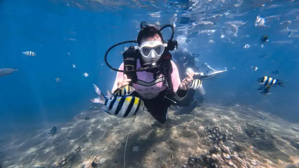 🤿 Snorkeling on Wuzhizhou Island: Best Spots and Marine Life Guide