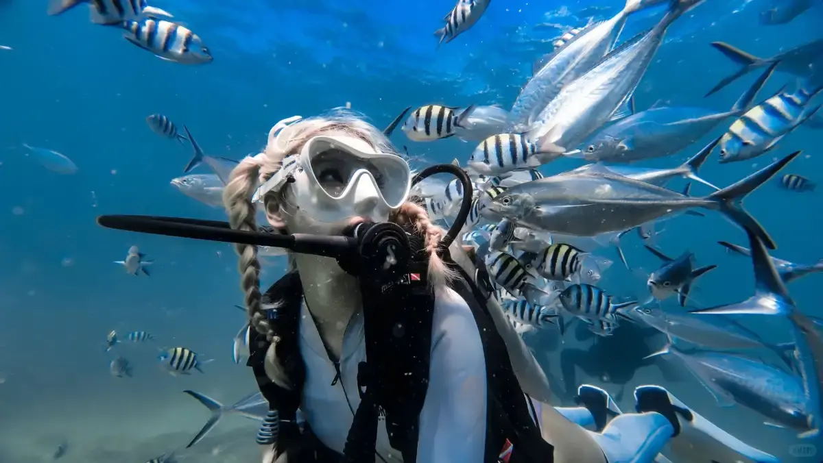 Snorkelers over the coral reefs around Wuzhizhou Island